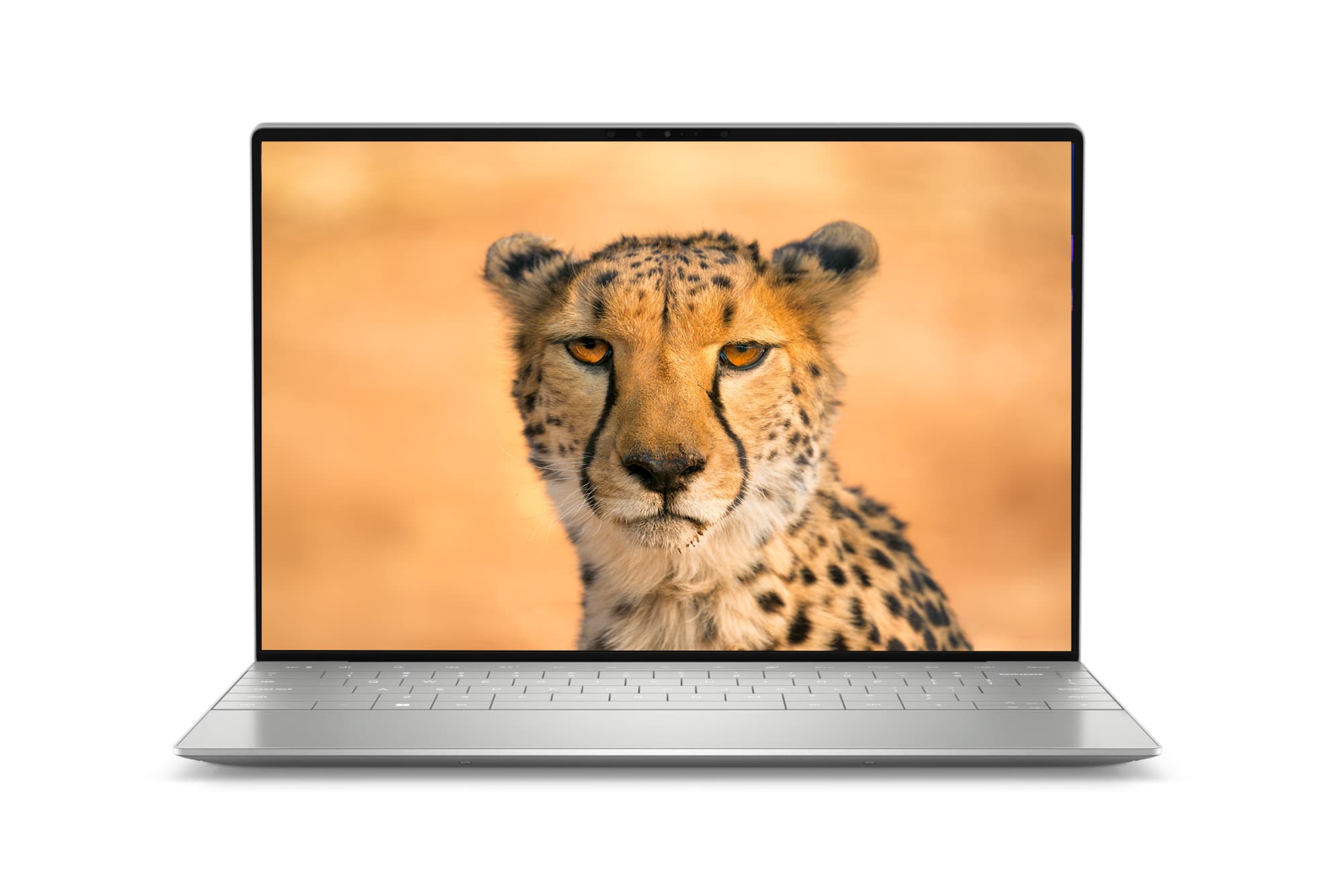 Dell XPS 15